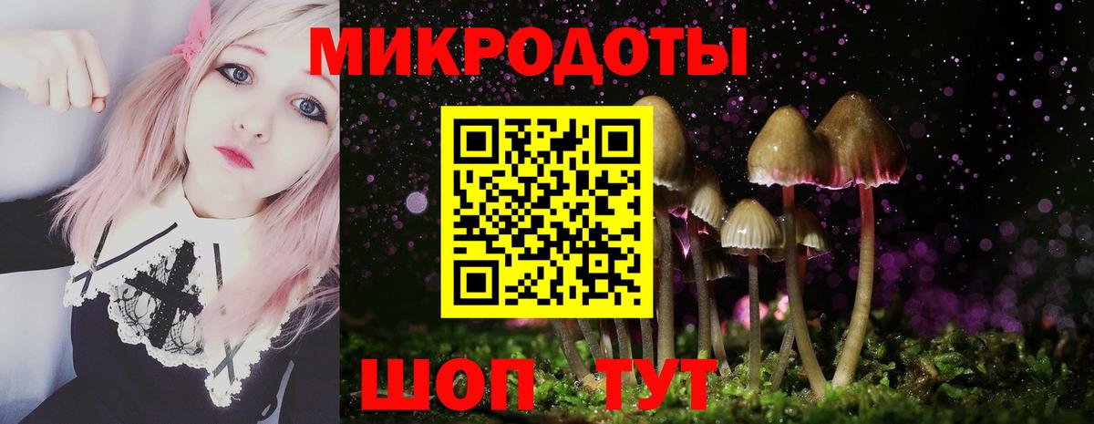 Галлюциногенные грибы мухоморы Алексеевка